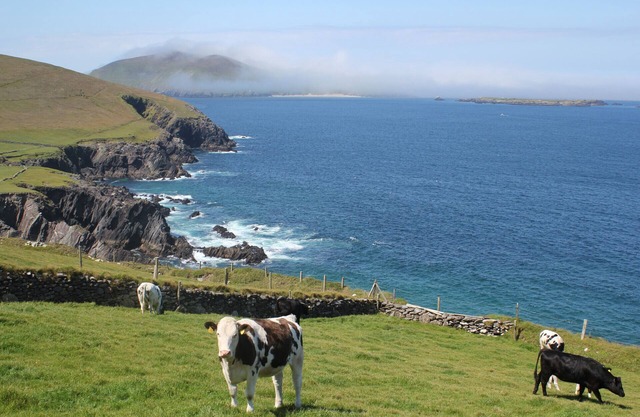 Dingle Courtyard Cottages (3 Bed - Sleeps 6)