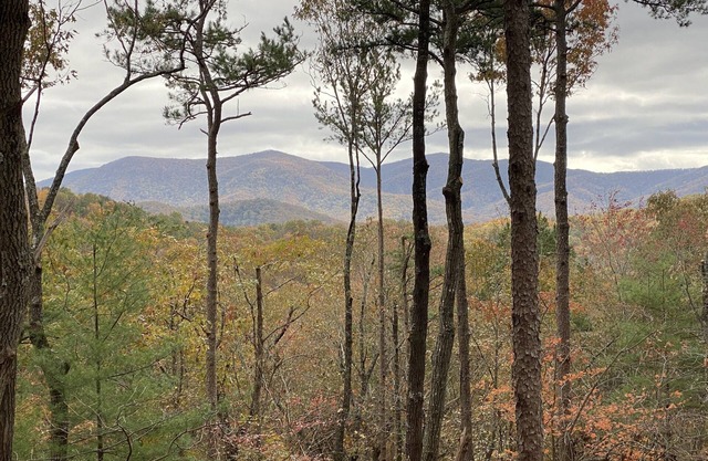 Dog friendly, 2/2 w/kings, Mtn view! Fire pit, Wifi, gas logs. Cherry Log MTN !