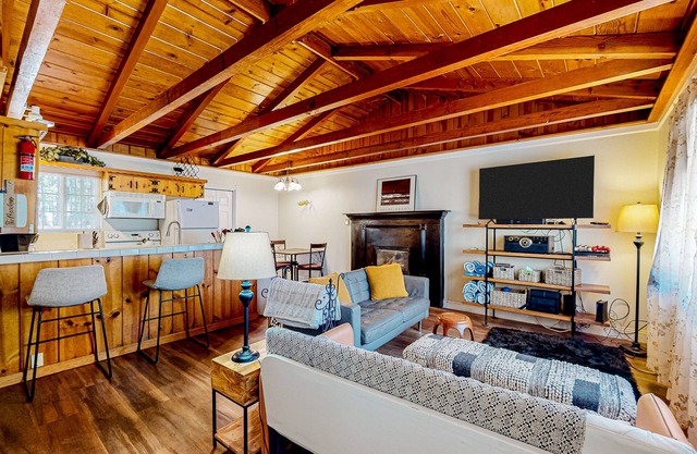 Dog-friendly cabin with private hot tub, fireplace, grill, patio, streaming