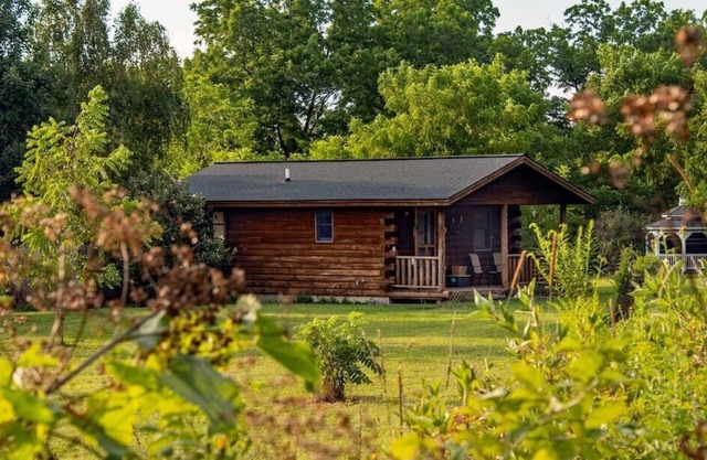 Dog friendly cabin w/private hot tub & breakfast delivered daily!