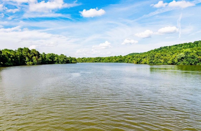 Dog Friendly | Firepit | Sunroom | Public Boat Launch | Close to Downtown Loudon & Marina