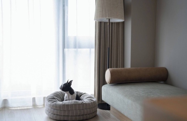 Dog room with ocean view Breakfast included to b/Ashigarashimo-gun Kanagawa
