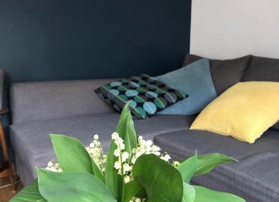 Dolne miasto 9 Apartament