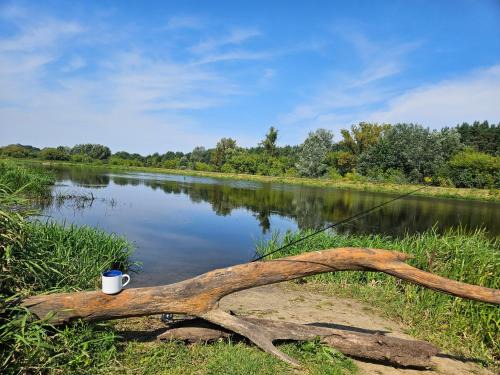 Dom z linią brzegową Narwi 3