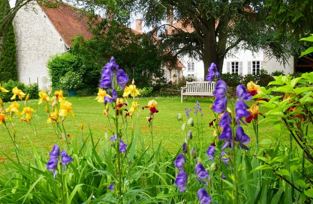 Domaine d'Adon * - Charming renovated house 45m² in Adon (45) sleeps 2