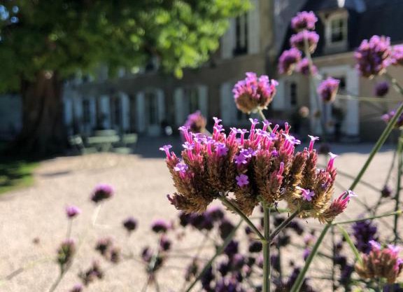 Domaine Saint-Hilaire