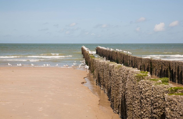 Domburg4you