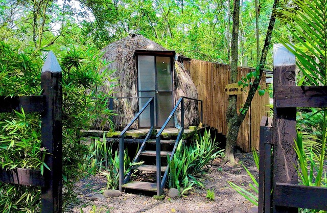 "Domo Nativo: Adventure and Relaxation in the Heart of the Forest".