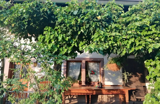 Double Room Apple Blossom