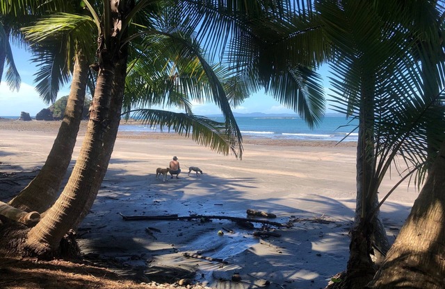 Double room with partial ocean view balcony | Beachfront Boutique Hotel & Pool
