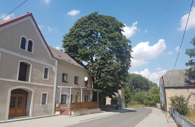 Double room Zum Fuchs online - *Pension HofGut Streubel