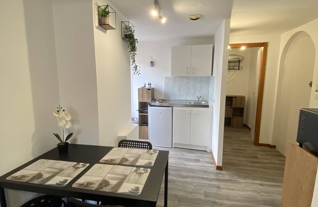 downtown apartment at the foot of the Vosges