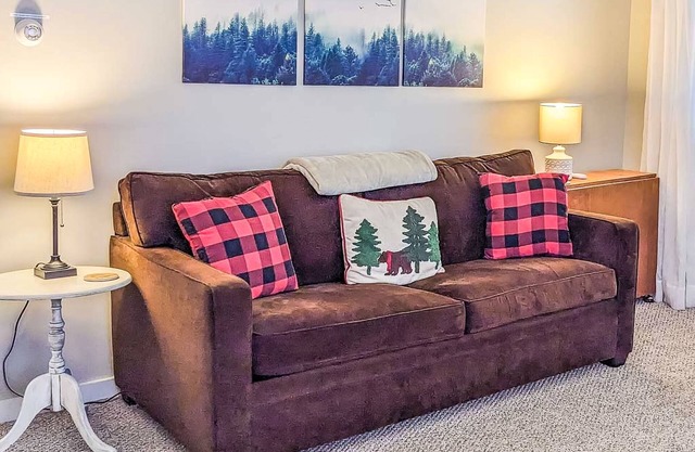 Downtown Condo w/Electric Fireplace, WiFi & Shuttle Stop Across the Street