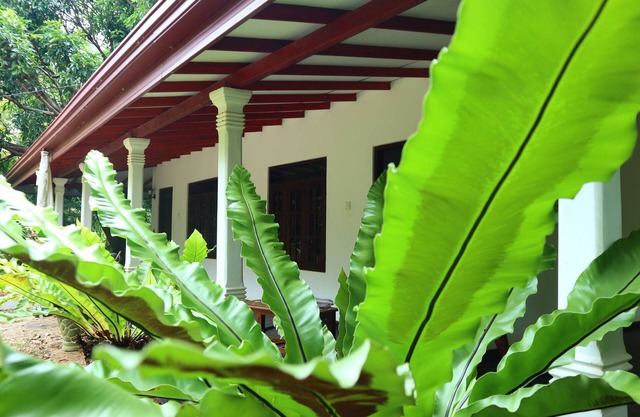 Dream Weaver Eco Homestay Sigiriya