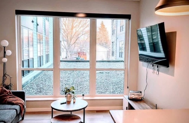 DT, UMN, 1 BD Gym, Free Street Parking, Rooftop