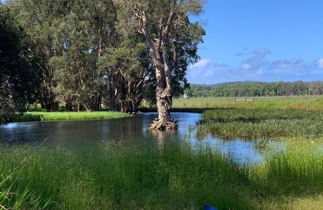 Duck Heaven in Bellingen Shire