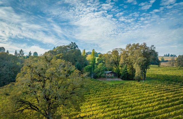 Durant Vineyard's Stoneycrest Cottage ~ stay amidst a destination for the senses