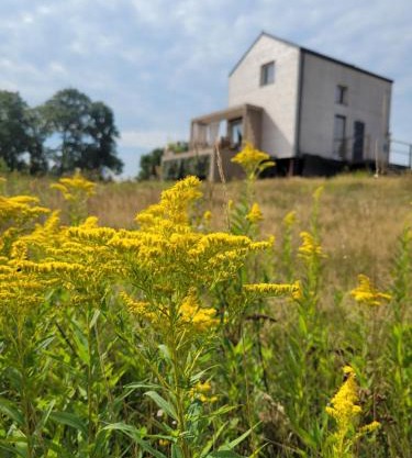 Dzika Warmia- Retreat in the Wild