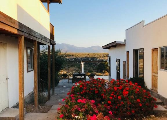 Eco Lodge Loro Tuerto