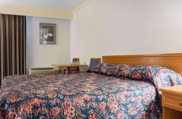 Econo Lodge By the Falls