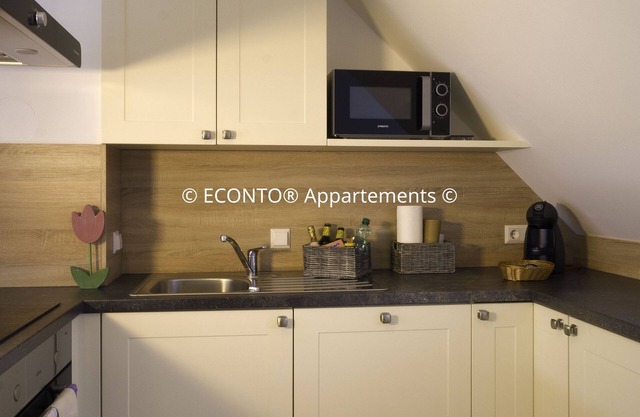 ECONTO 3b - apartment with terrace