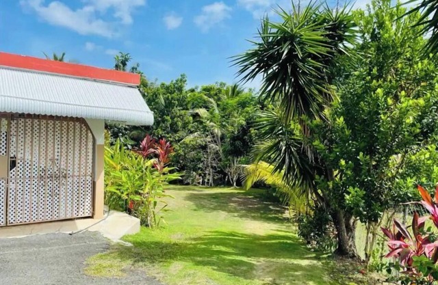 Edge of El Yunque Rainforest Air conditioned