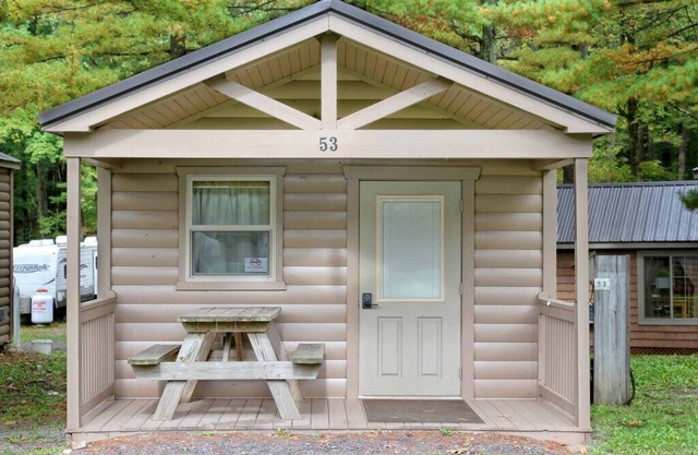 Efficiency Cabin 45
