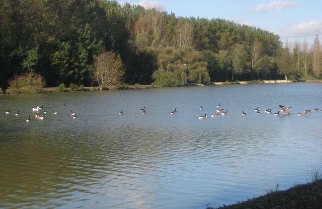 Elegant cottage in a 8 ha park with lake, toys/swing set/ping pong .Paris 80km