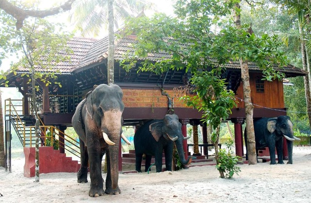 Elephant Courtyard- A Heritage Homestay