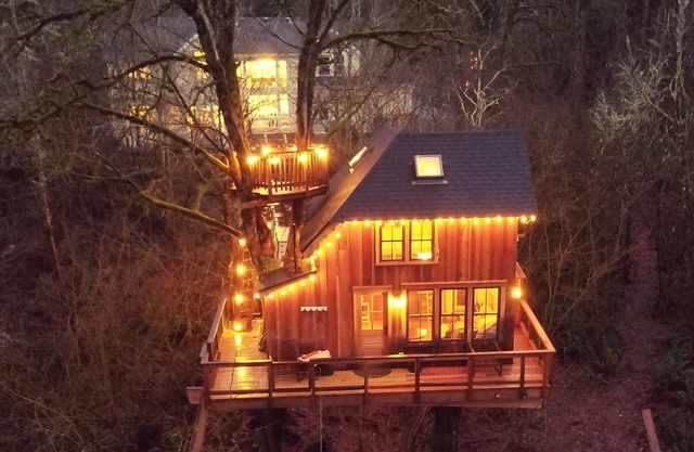 Emerald Forest Treehouse - From Treehouse Masters