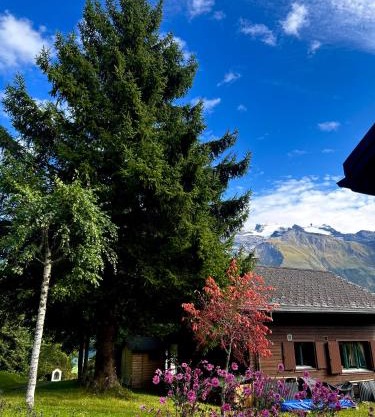 Engelberg, Renovated Chalet in Wonderful Location
