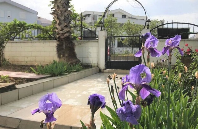 Enjoy a peaceful central location. close to everything, truly home from home