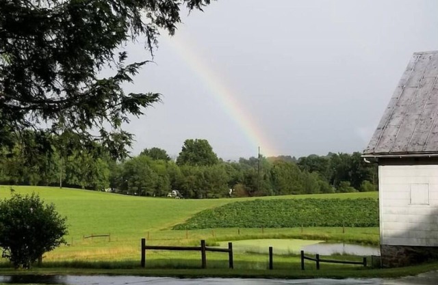 Enjoy peaceful farm life! Pet-friendly, 23 acres, baby goats and chickens!