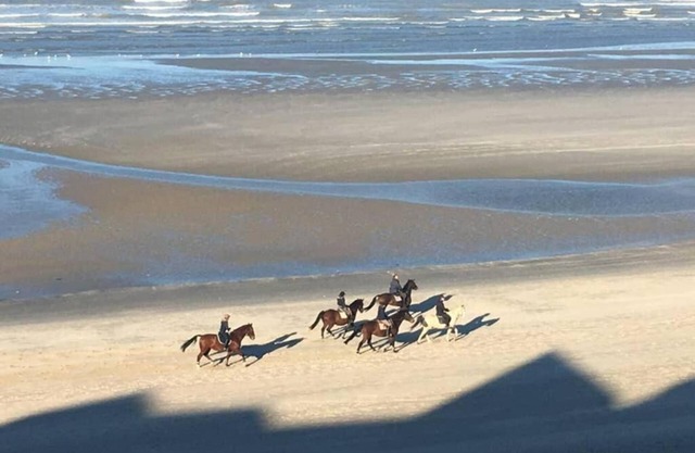 Entre Dunes et mer