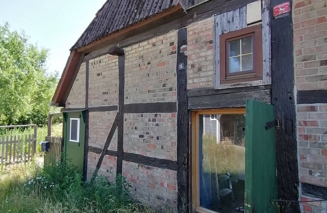 Entspannen n der Elbtalaue
