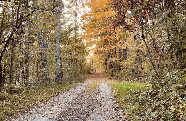 Escape from reality away to this beautiful off grid cabin located in Ticonderoga