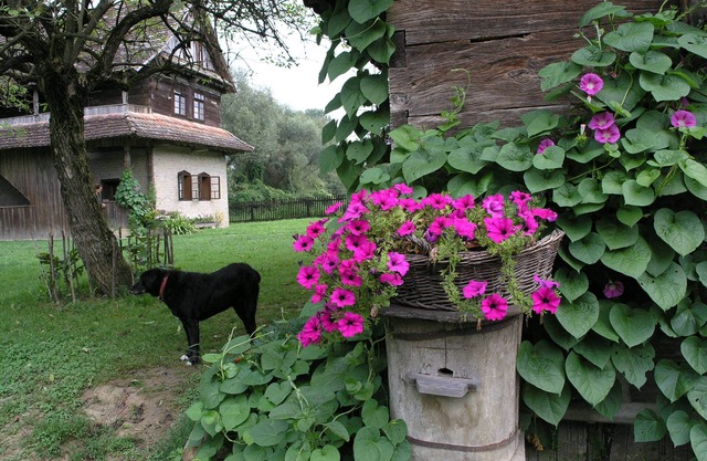 Ethno Village Stara Lonja