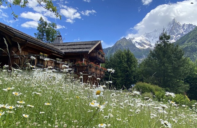 Exceptional chalet facing Mt Blanc