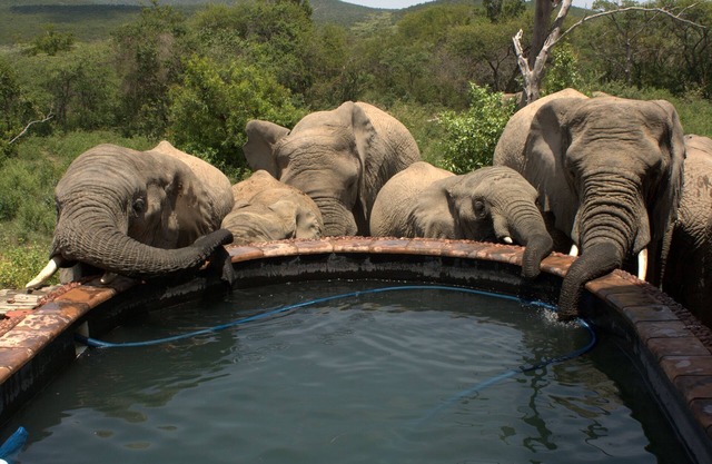 Exclusive & amazing African experience at Private Game Reserve
