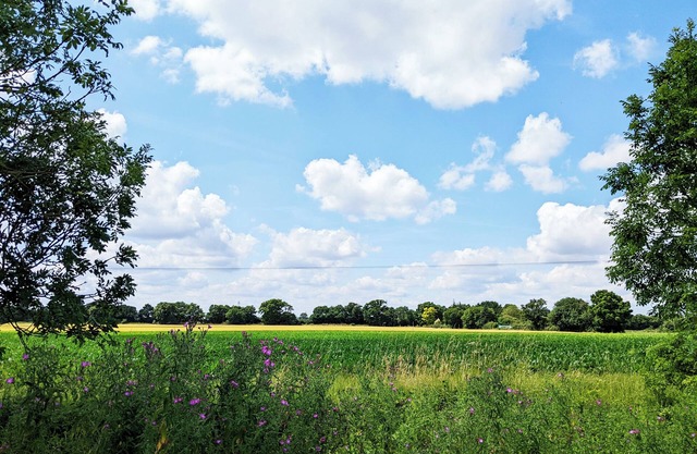 Explore Suffolk & Norfolk from this 2 bedroom, pet friendly, detatched property