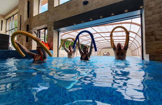 Főnix Wellness Resort