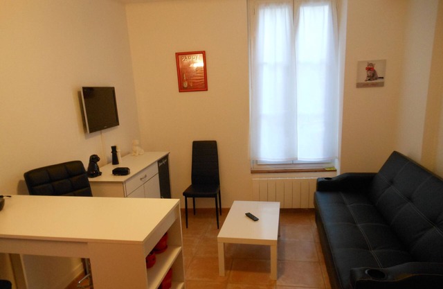 F1 furnished downtown near Fontainebleau Buthiers .