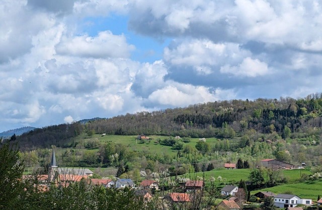 Family cottage in La Croix-aux-Mines with private entrance