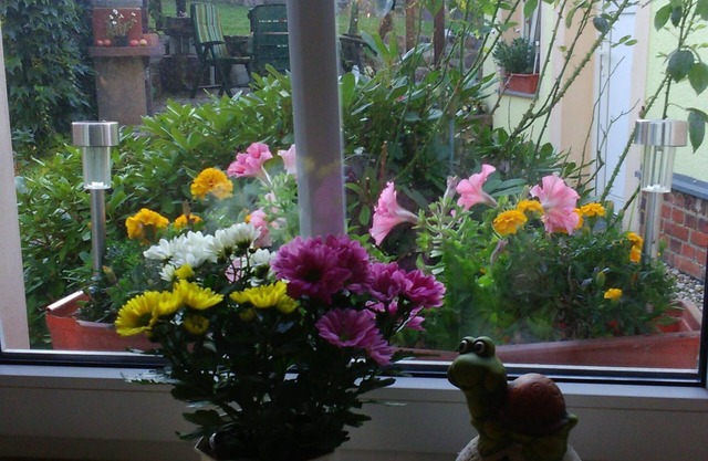 Family-friendly accommodation