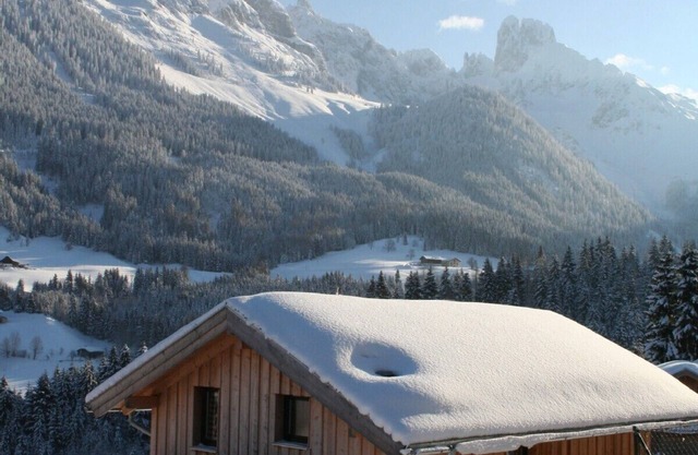 family-friendly cabin Dachstein-West