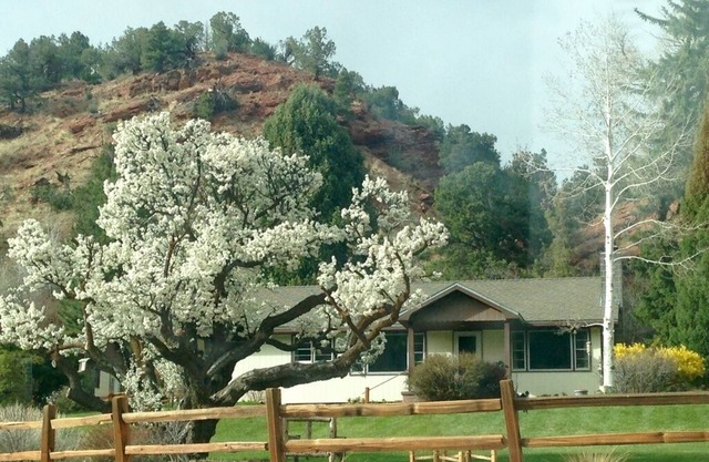 Family/Lrg Groups/King Bed/420/Hike/Bike/Ski/Raft/Firepit/Mountain Views
