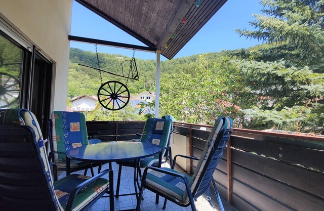 Family vacation apartment Lichtenstein (BW)