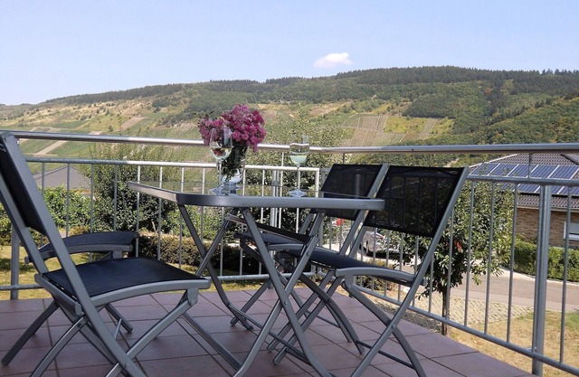 Fantastic apartment with Moselle view