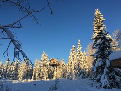 Faråsen Luxury Treetop Cabin - Sleep Among the Trees