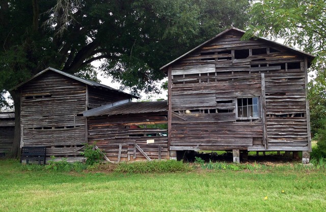 Farm Experience! Country! Rustic!